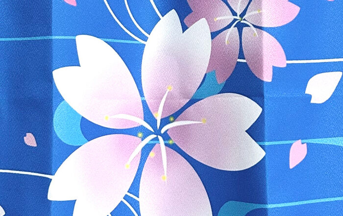 風呂敷 アップ メロンアムンゼン