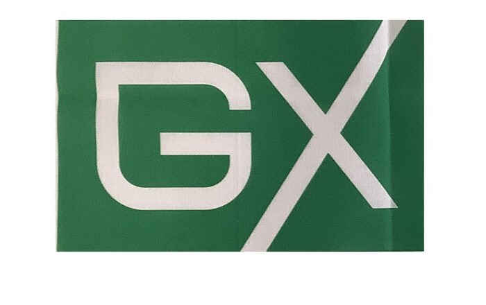 株式会社スキルアップNeXt てぬぐい　ロゴ